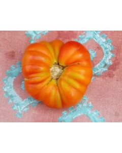 Tomato 'El Nano'
