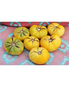 Tomato 'Hawaiian Pineapple' 