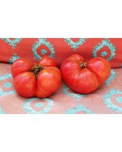 Tomato 'Aunt Lou's Underground Railroad' Seeds (Naturally Grown)