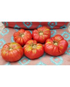 Tomato 'Brandywine'
