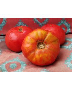 Tomato 'Giant Belgium' Seeds