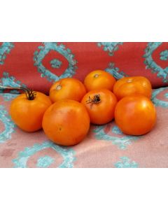 Tomato 'Jaune Flamme'
