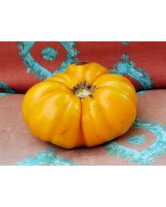 Tomato 'Dr. Wyche's Yellow'