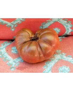 Tomato 'Cherokee Carbon' (Heirloom Marriage)