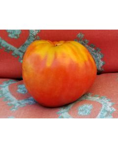 Tomato 'Reif Red Heart' 