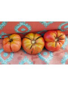 Tomato 'Ferris Wheel' 