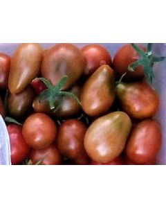 Tomato 'Chocolate Pear' Seeds