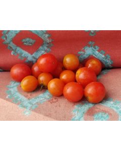 Tomato 'Flavor Bomb' Seeds
