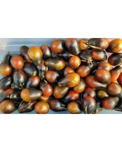Tomato 'Black Keyes' 