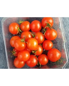Tomato 'Sweetie'