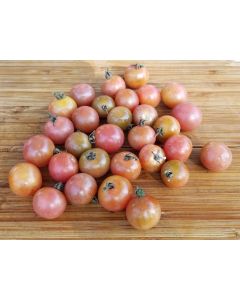 Tomato 'Napa Rose Blush'
