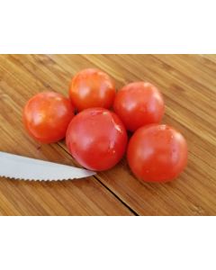 Tomato 'Chadwick's Cherry' AKA 'Camp Joy' 