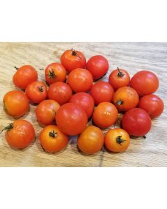 Tomato 'Small Red Cherry'