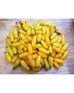 Tomato 'Starlight' Seeds