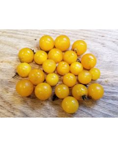 Tomato 'Sweet Gold F2' 