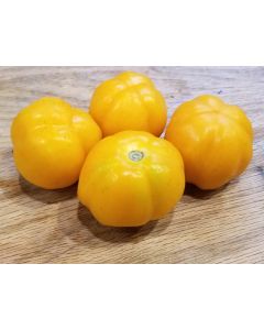 Tomato 'Orange Accordion Mini Pumpkins' 