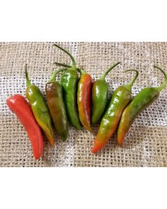 Hot Pepper 'Martin's Carrot' Seeds (Naturally Grown)