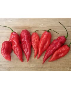 Hot Pepper ‘Carolina Reaper x Bhut Jolokia (Ghost)' Seeds (Naturally Grown)