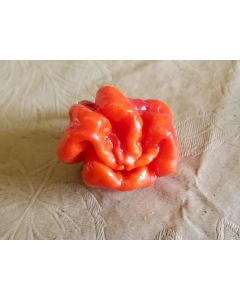 Hot Pepper 'Jigsaw Cross' Seeds (Naturally Grown)