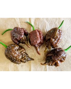 Hot Pepper ‘Big Black Mama' Seeds (Naturally Grown)