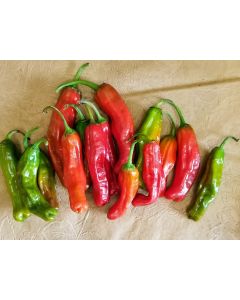 Pepper 'Shishito' Seeds (Certified Organic)