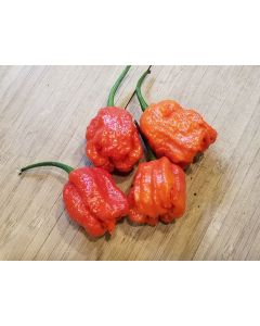 Hot Pepper ‘Dragon's Breath' Seeds (Naturally Grown)