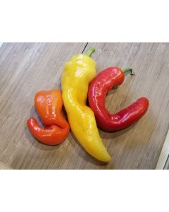 Sweet Pepper ‘Sweet Sunset F2’ 