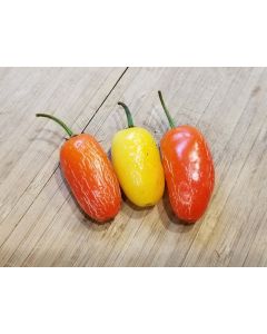 Hot Pepper 'Jaloro Golden Jalapeno'