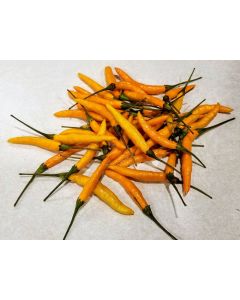 Hot Pepper ‘Yellow Thai’ Seeds (Naturally Grown)