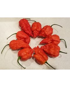Hot Pepper ‘Peach Carolina Reaper Cross’ Seeds (Naturally Grown)