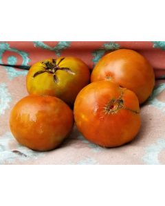 Tomato 'Cherokee Chocolate'
