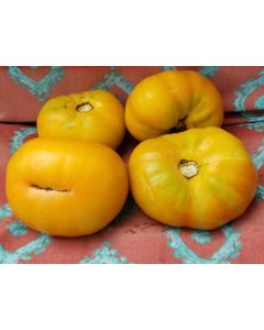 Tomato 'Marzipan Gold' Seeds (Naturally Grown)