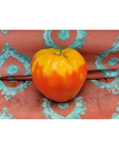 Tomato 'German Red Strawberry'