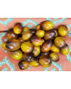 Tomato 'Atomic Fusion' 