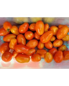 Tomato 'Chico III' Seeds (Naturally Grown) 