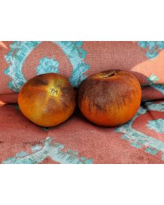 Tomato 'Kaleidoscopic Jewel' Seeds (Naturally Grown)