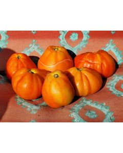 Tomato 'Italian Red Pear' 