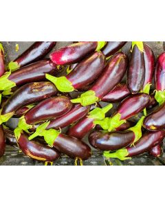 Eggplant ‘Diamond’ Seeds (Naturally Grown)