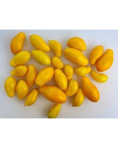 Tomato 'Banana Legs'