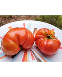 Tomato 'Strawberry Leopard' Seeds (Naturally Grown)