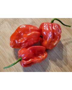 Hot Pepper ‘Red Fatalii’ Seeds (Naturally Grown)