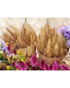 Ornamental Foxtail Grass Bouquet
