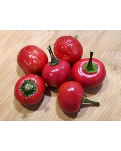 Hot Pepper ‘Satan's Kiss’ AKA 'Piccante Calabrese'