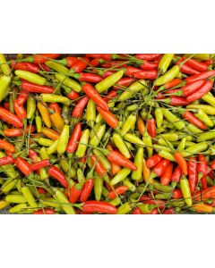Hot Pepper 'Tabasco' Seeds (Naturally Grown)