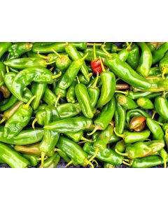 Hot Pepper 'Anaheim' 