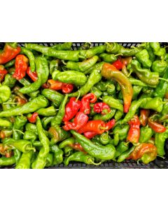 Hot Pepper ‘Hangjiao (HJ8) Total Eclipse Space Chili’ Seeds (Naturally Grown)