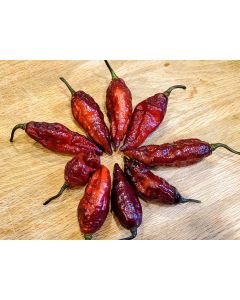 Hot Pepper 'Redgum Tiger MAMP x Chocolate Nagabrains' Seeds (Naturally Grown)
