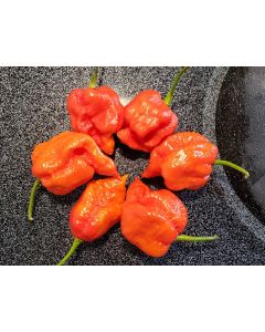 Hot Pepper ‘Naga Death’ Seeds (Naturally Grown)