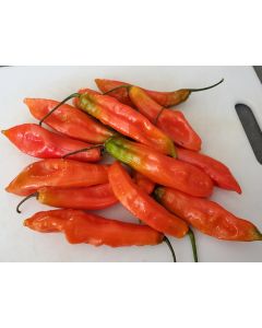 Hot Pepper 'Ghostly Jalapeno' Seeds (Naturally Grown)