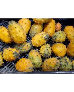 Jelly Melon (Kiwano) AKA African Horned Cucumber Seeds